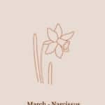 Κολιέ ασήμι λουλούδι γέννησης Μάρτιος 94082 3